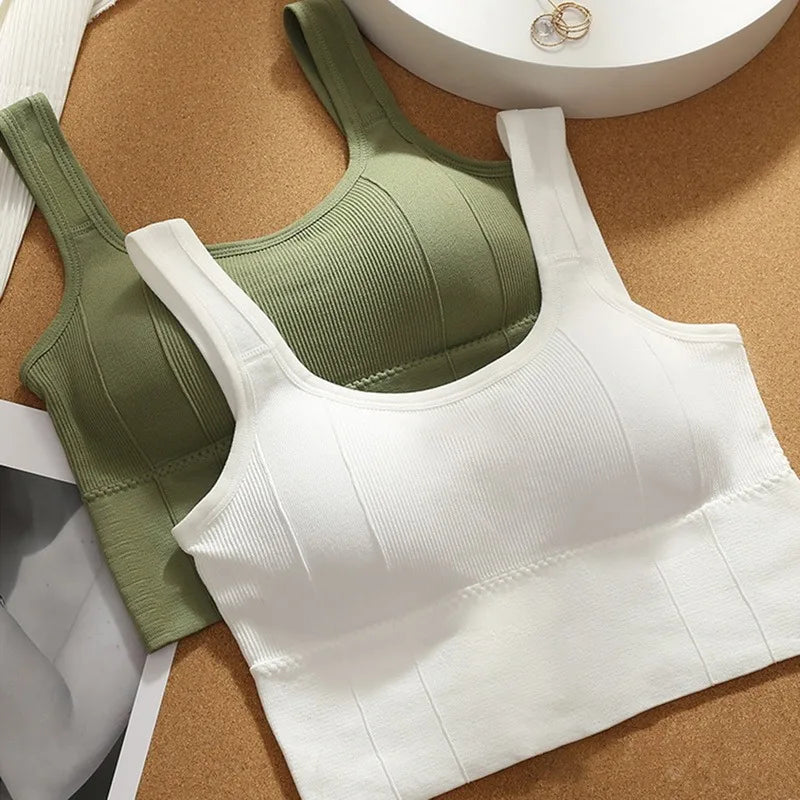 Sutiã esportivo respirável, antitranspirante, top fitness feminino sem costura, top cropped