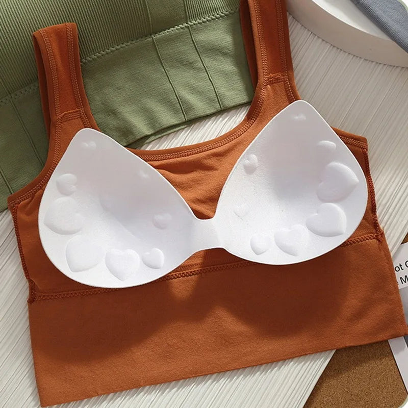 Sutiã esportivo respirável, antitranspirante, top fitness feminino sem costura, top cropped